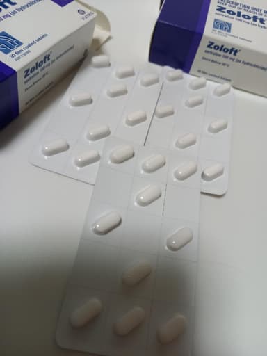 [ジェイゾロフト海外版]ゾロフト100mg 【1箱30錠】 レビュー投稿画像 サムネイル