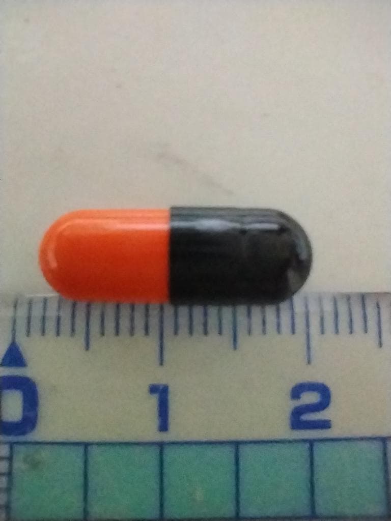 レビュー投稿画像