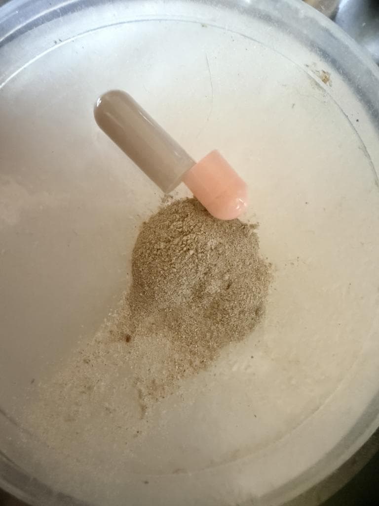 レビュー投稿画像