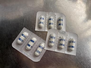 [セレコックス海外版]セレブレックス100mg 【1箱60カプセル】 レビュー投稿画像 サムネイル
