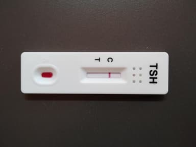 TSH迅速検査キット（全血） 【1箱1回分】 レビュー投稿画像 サムネイル