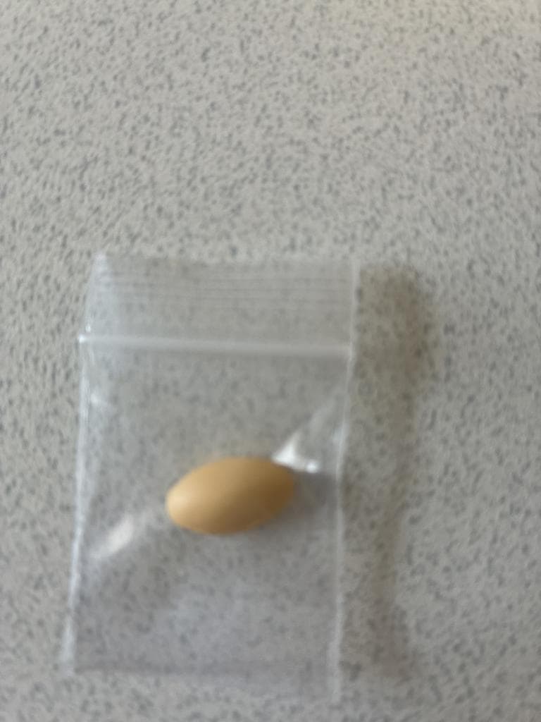 レビュー投稿画像