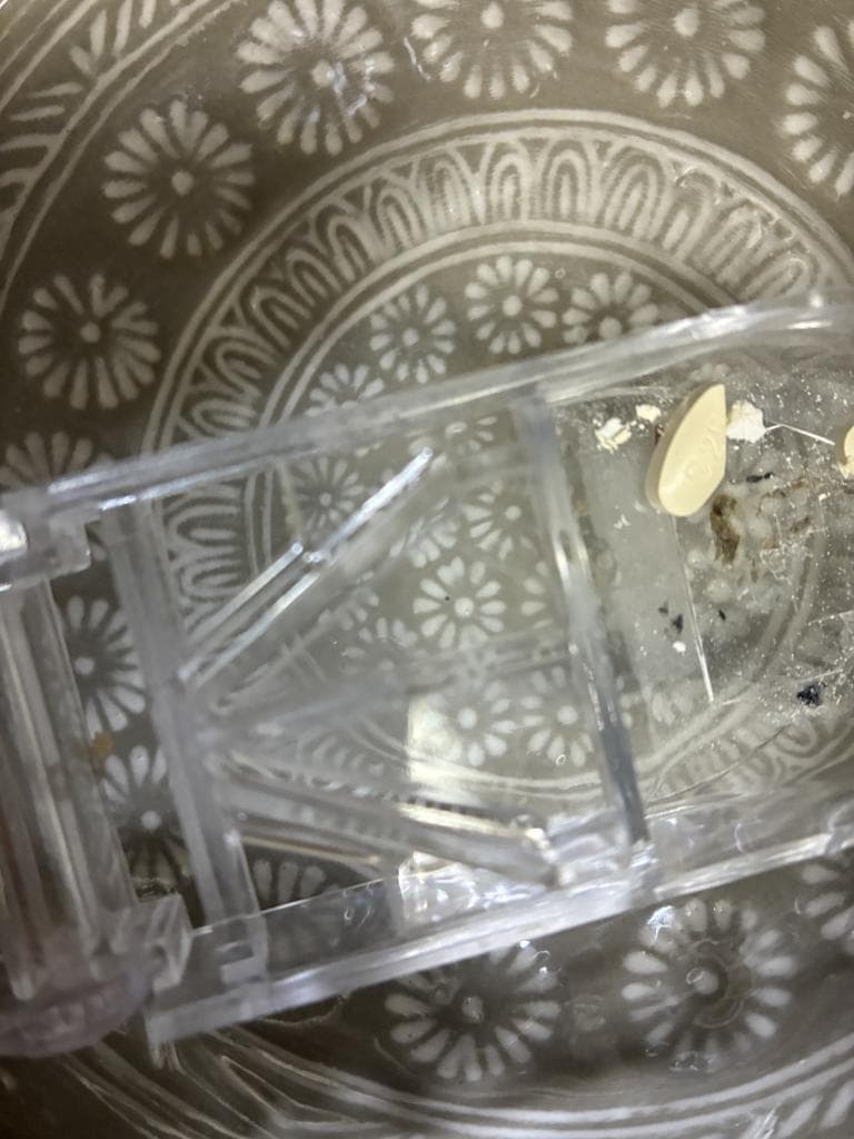 レビュー投稿画像