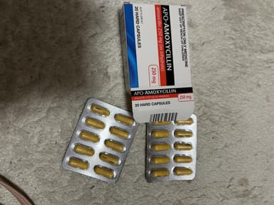 [サワシリンジェネリック]APOアモキシシリン250mg 【1箱20ハードカプセル】 レビュー投稿画像 サムネイル