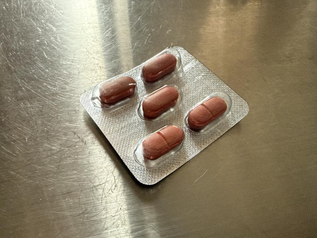 レビュー投稿画像