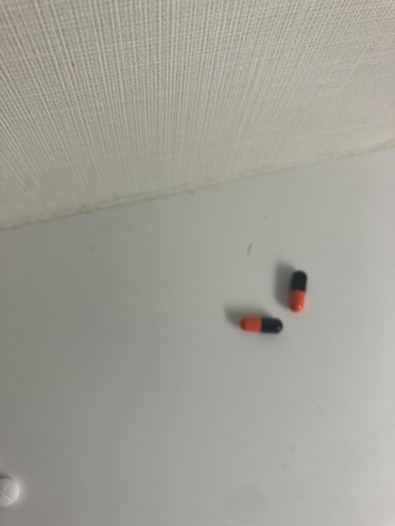 レビュー投稿画像