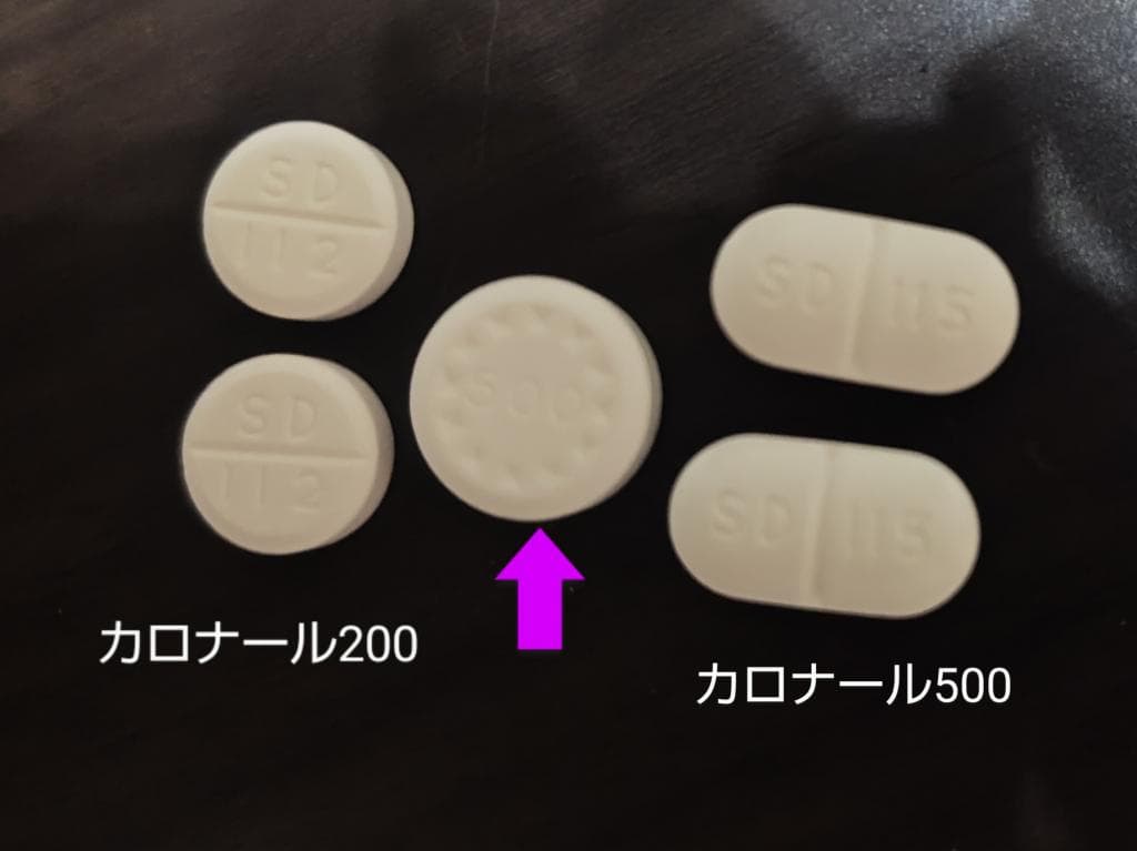 レビュー投稿画像