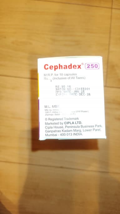 [ケフレックス同成分]セファデックス250mg 【1箱200カプセル】 レビュー投稿画像 サムネイル