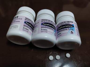 [プレドニン同成分]パナフコルテロン5mg 【1本60錠】 レビュー投稿画像 サムネイル