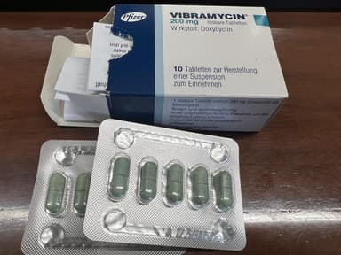 ビブラマイシン200mg 【1箱10錠】 レビュー投稿画像 サムネイル