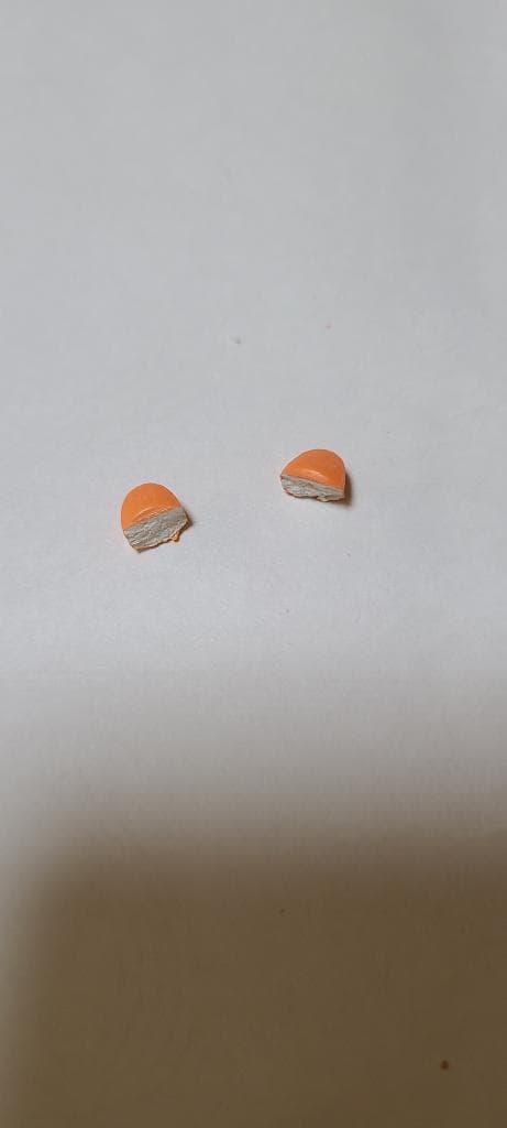 レビュー投稿画像