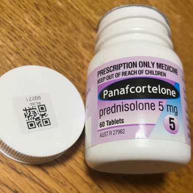 [プレドニン同成分]パナフコルテロン5mg 【1本60錠】 レビュー投稿画像 サムネイル
