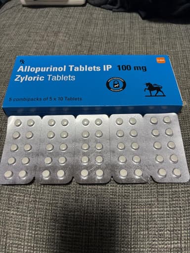ザイロリック100mg 【1箱250錠】 レビュー投稿画像 サムネイル
