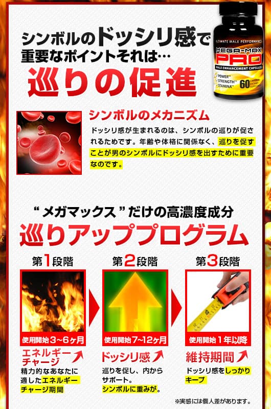 シンボルのドッシリ感で重要なポイントそれは…巡りの促進