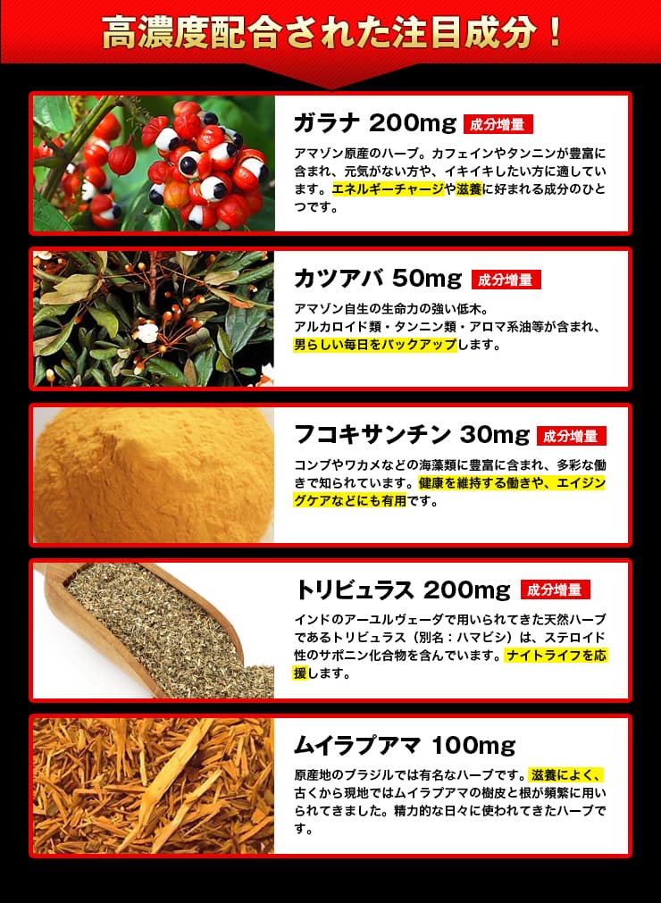 高濃度配合された注目成分！