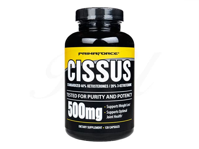 シッサス（Cissus）