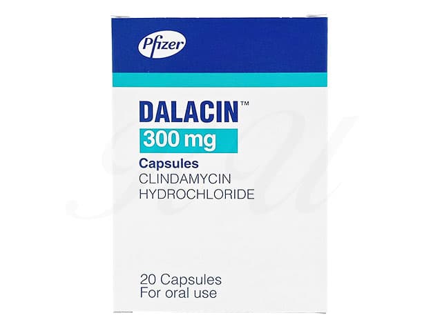 ダラシンカプセル300mg 【1箱20錠】