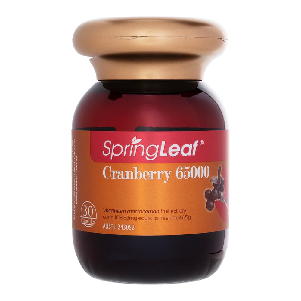 クランベリー65000[SpringLeaf]