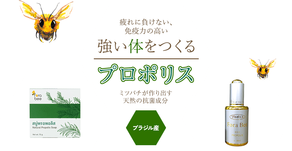疲れに負けない、免疫力の高い体を作るプロポリス|ミツバチが作り出す天然の抗菌成分|ブラジル産