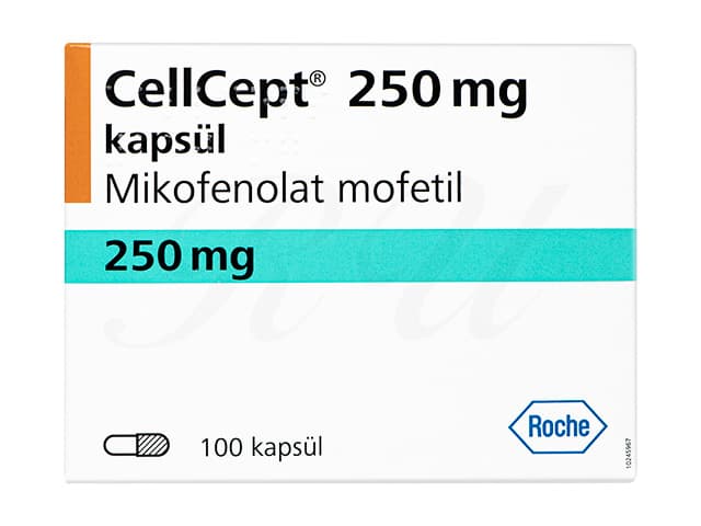 商品画像: セルセプト250mg 【1箱100カプセル】