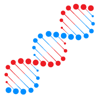 DNA(デオキシリボ核酸)