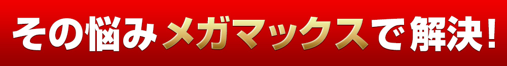 そんな悩みメガマックスで解決！